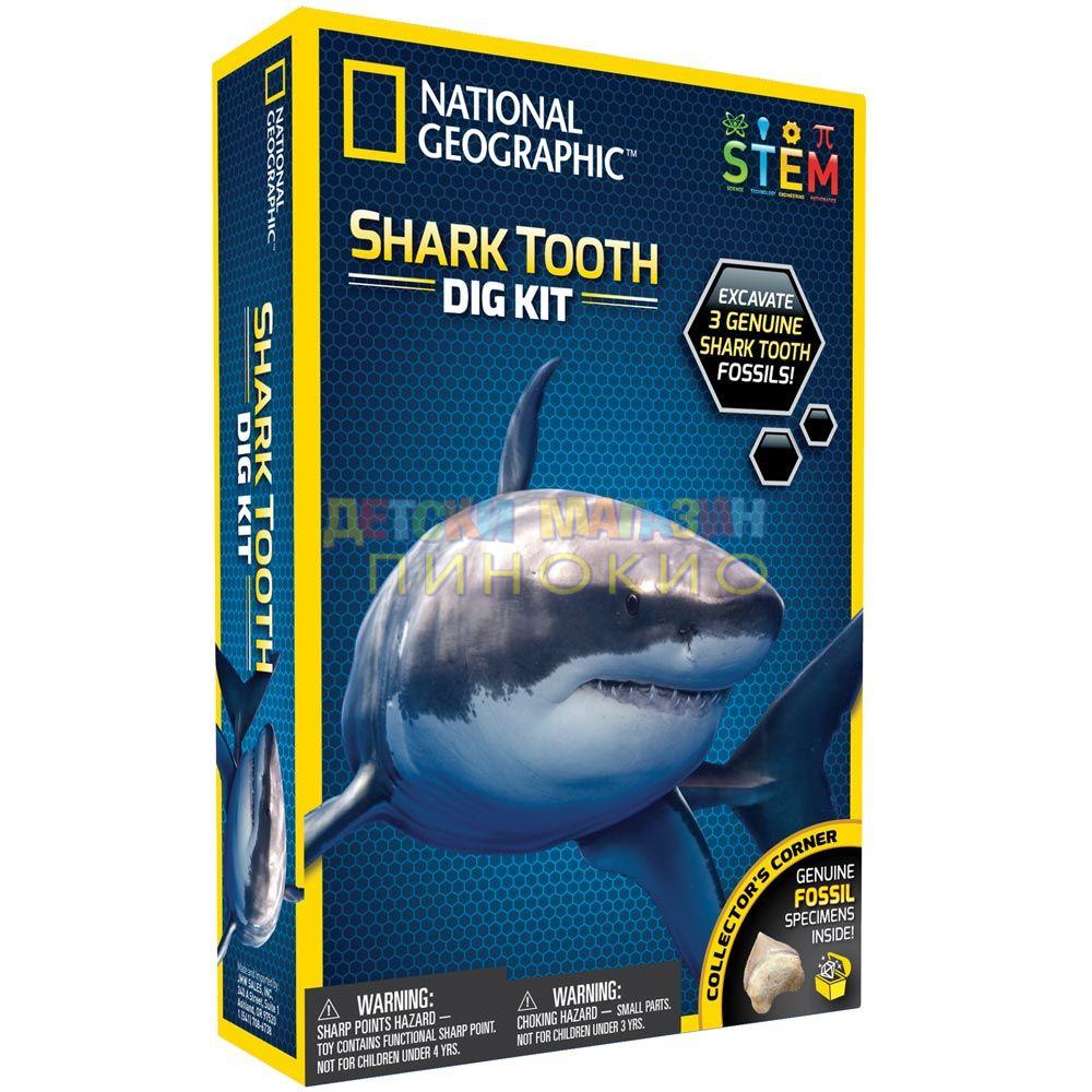 NATIONAL GEORGAPHIC Открий си сам Фосил от Акула NG27/NGSHARK