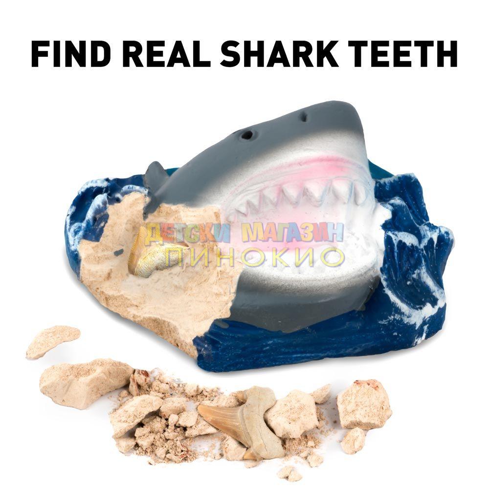 NATIONAL GEORGAPHIC Открий си сам Фосил от Акула NG27/NGSHARK - Image 3