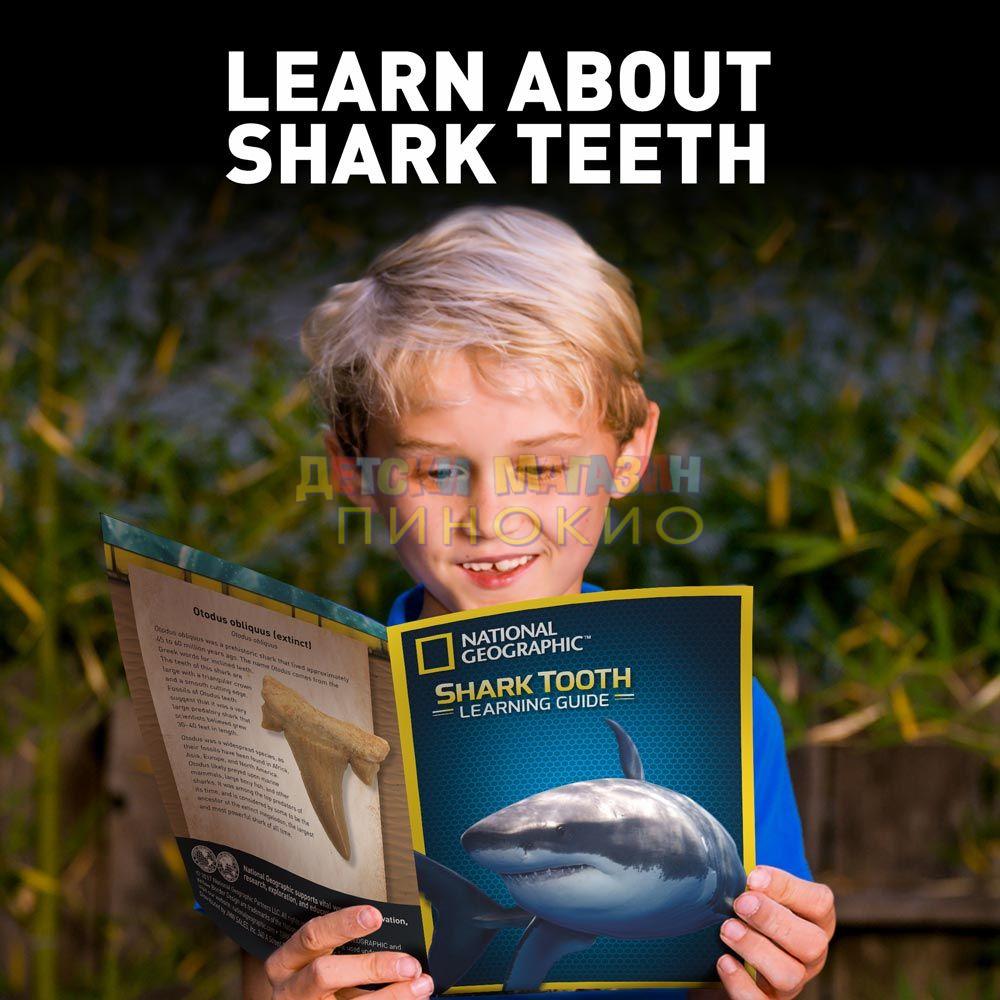 NATIONAL GEORGAPHIC Открий си сам Фосил от Акула NG27/NGSHARK - Image 4
